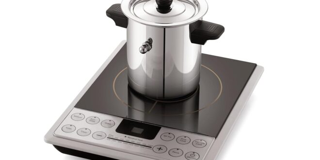 Pigeon 1-litre milk boiler