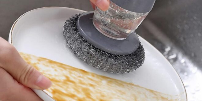 soap dispensing brush