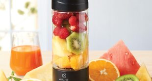 portable blender