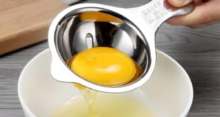 egg separator