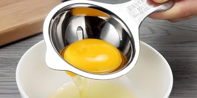 egg separator